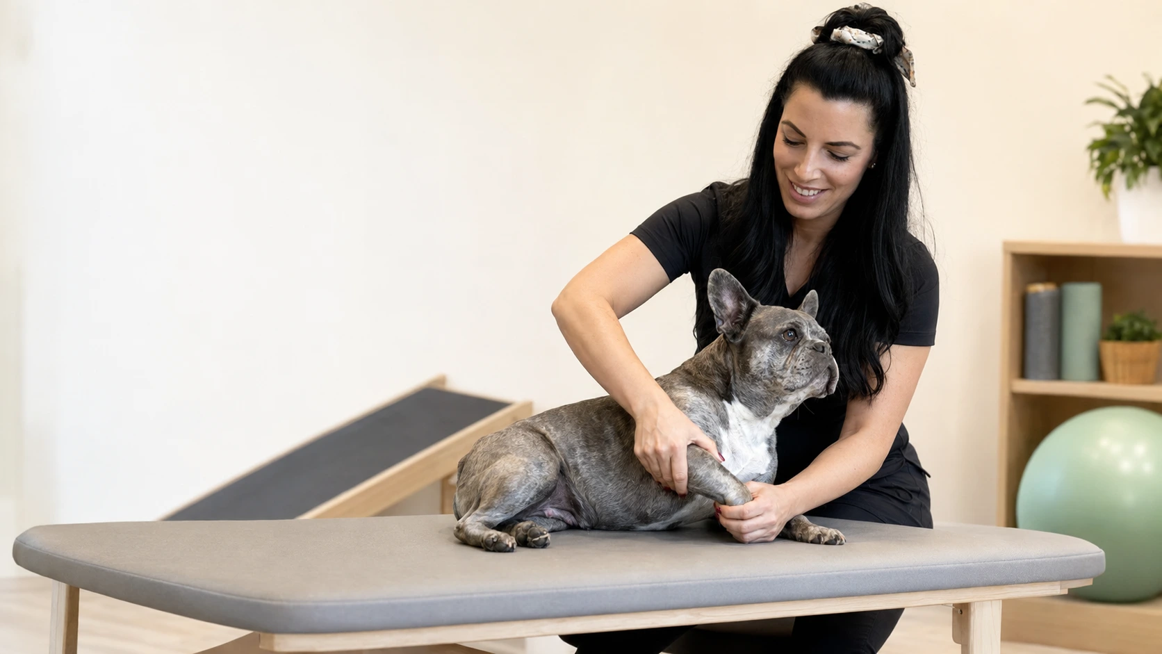Hundephysiotherapie im Saarland – Nadine Weber behandelt einen Hund
